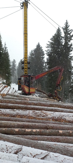 Holzschlägerungsarbeiten im Winter